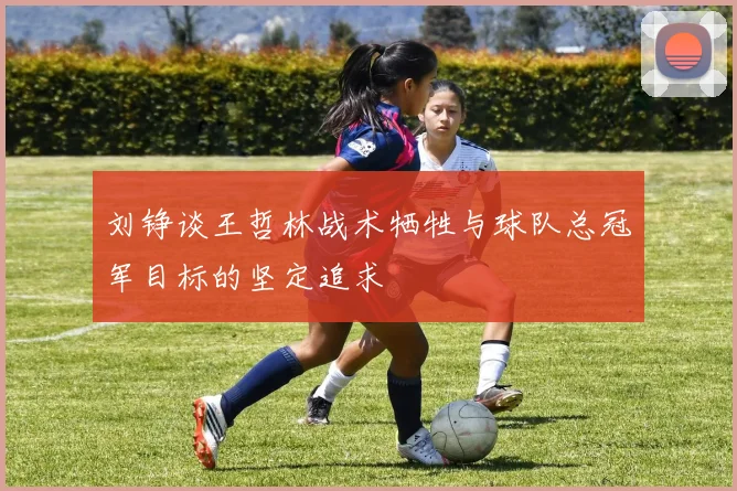 刘铮谈王哲林战术牺牲与球队总冠军目标的坚定追求